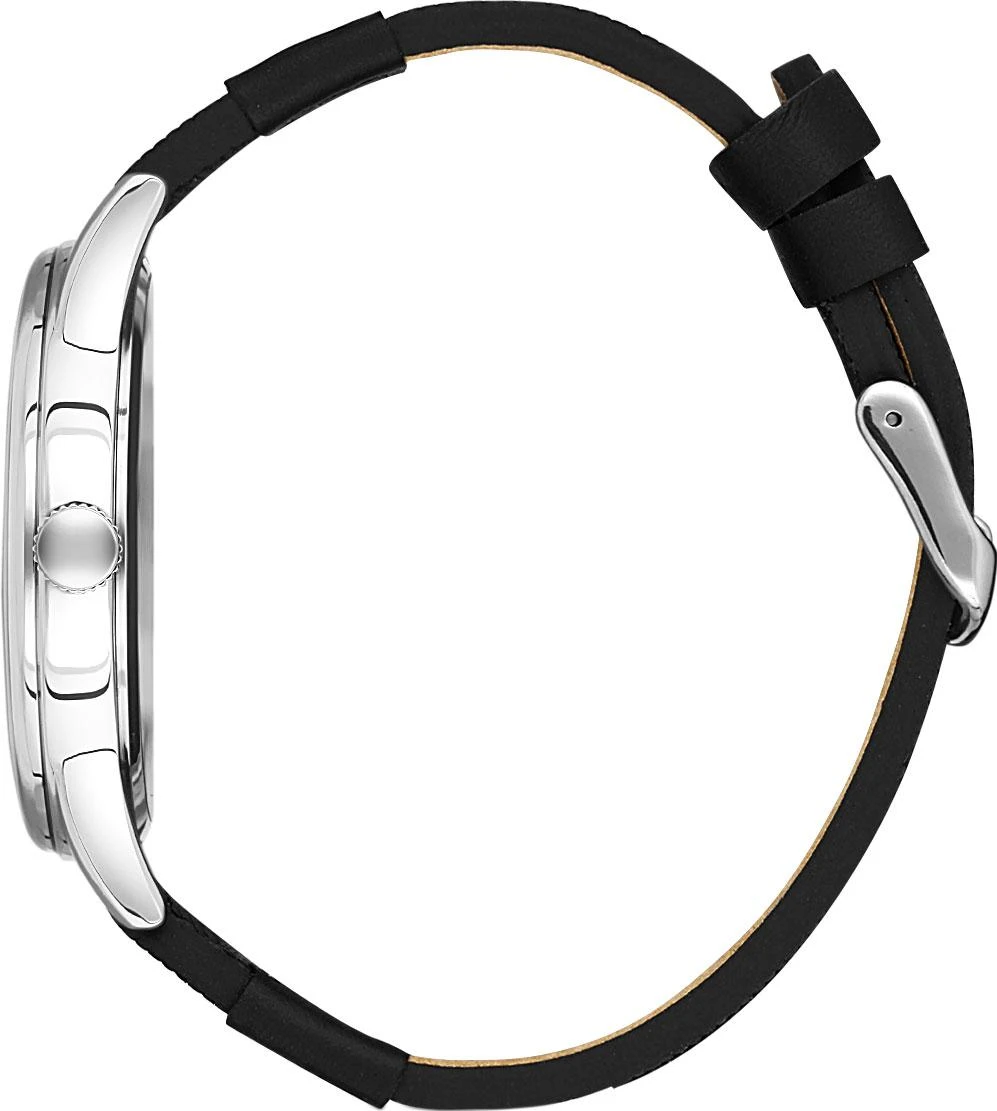 Наручные часы  Daniel Klein  Premium Daniel Klein 13380-1 (фото 2)