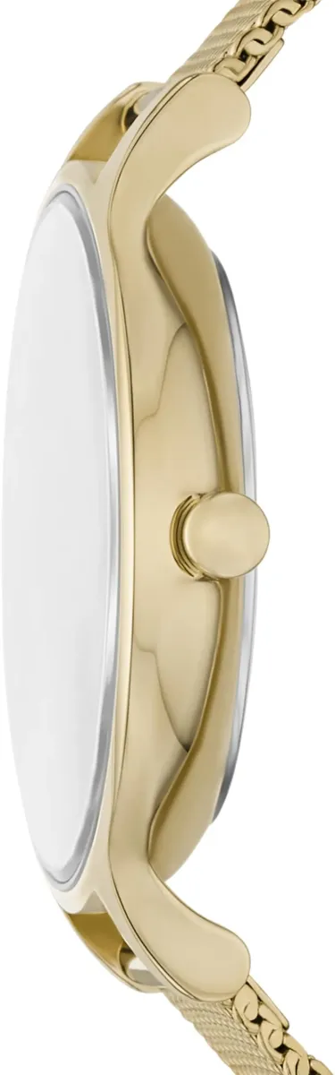 Наручные часы  Skagen  Anita Skagen SKW3145 (фото 2)