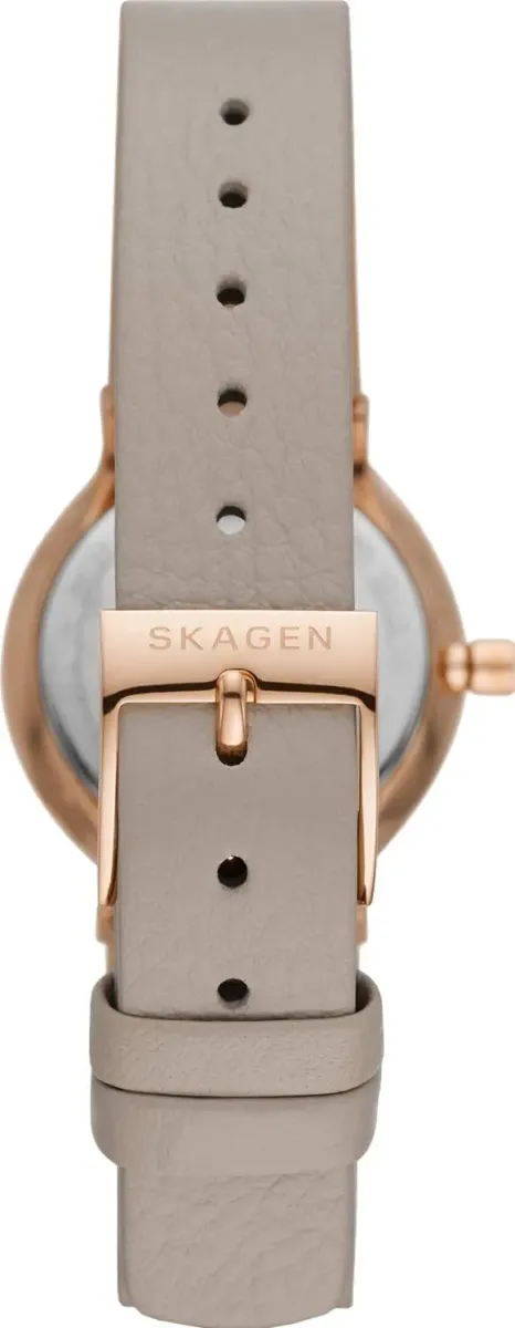 Наручные часы  Skagen  Freja Skagen SKW3005 (фото 3)