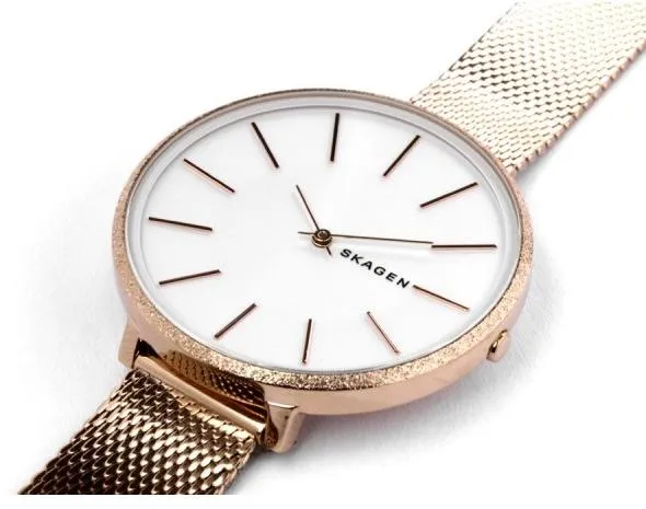 Наручные часы  Skagen  Steel Women Skagen SKW2726 (фото 2)