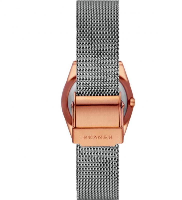 Наручные часы  Skagen  Grenen Skagen SKW3050 (фото 3)