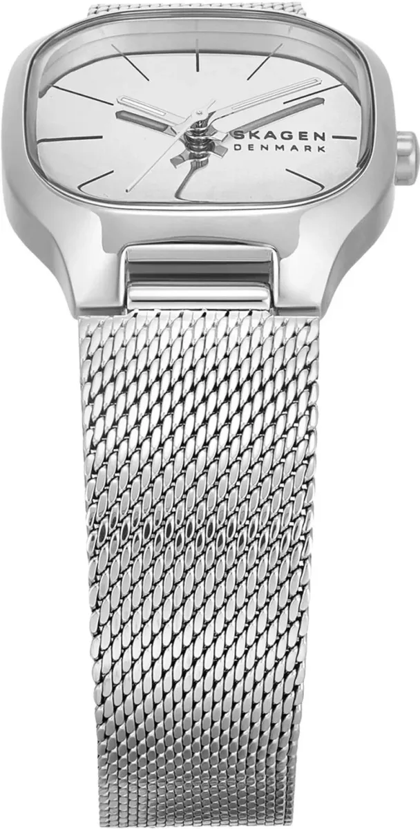 Наручные часы  Skagen  Mellem Skagen SKW3163 (фото 2)