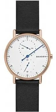 Наручные часы  Skagen  Signatur Skagen SKW6390 (фото 1)