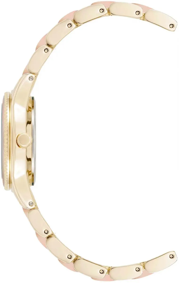 Наручные часы  Anne Klein  Plastic Anne Klein 3212IRGB (фото 3)