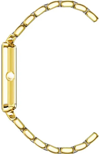 Наручные часы  Anne Klein  Diamond Anne Klein 3668GNGB (фото 2)