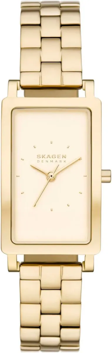 Наручные часы  Skagen  Hagen Skagen SKW3098 (фото 1)