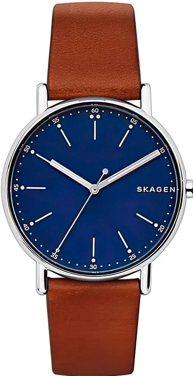 Наручные часы  Skagen  Leather Skagen SKW6355 (фото 1)