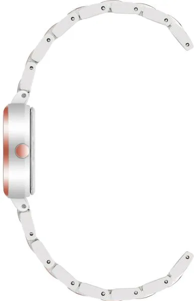 Наручные часы  Anne Klein  Steel Anne Klein 4011SVRT (фото 2)