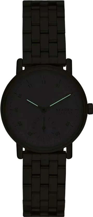 Наручные часы  Skagen  Kuppel Skagen SKW3102 (фото 2)