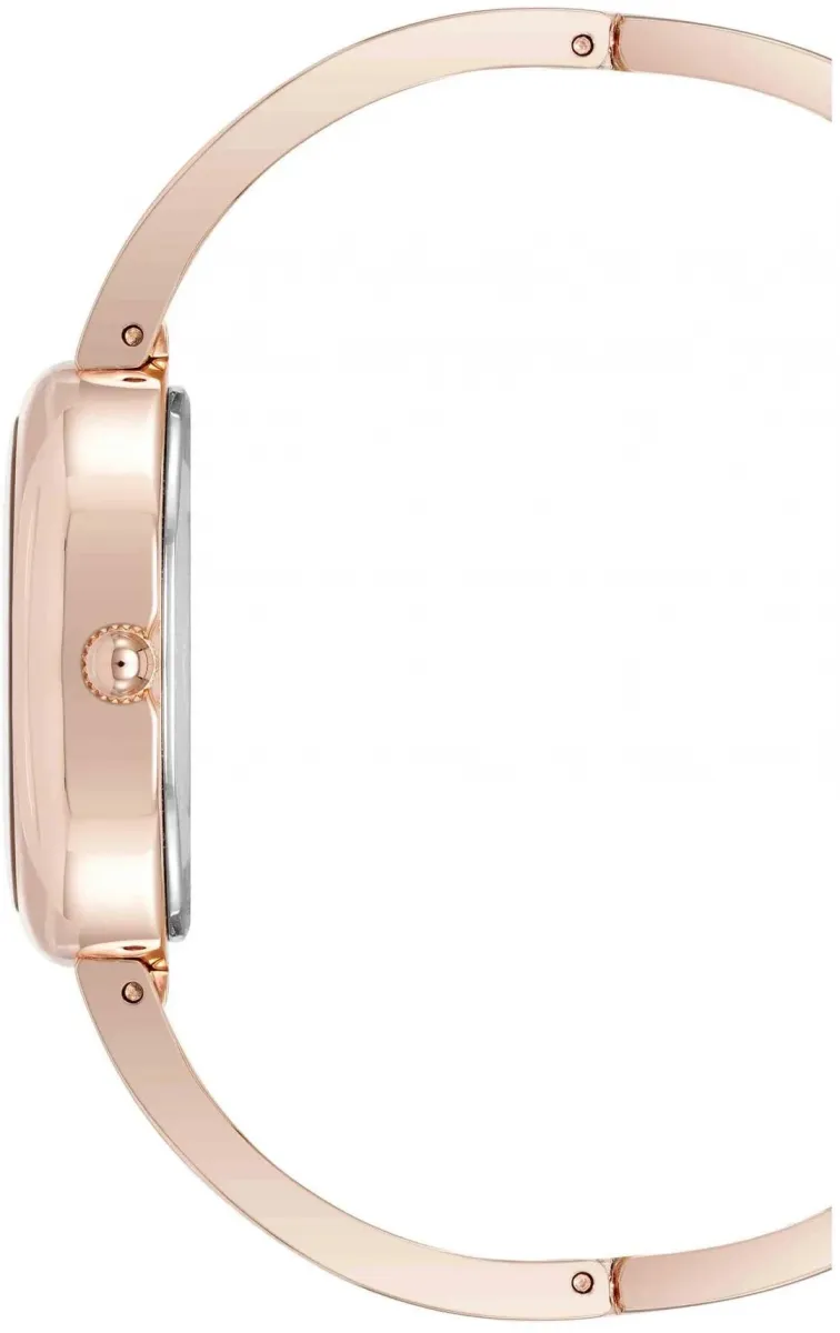 Наручные часы  Anne Klein  Gemstones Anne Klein 5108RQST (фото 3)