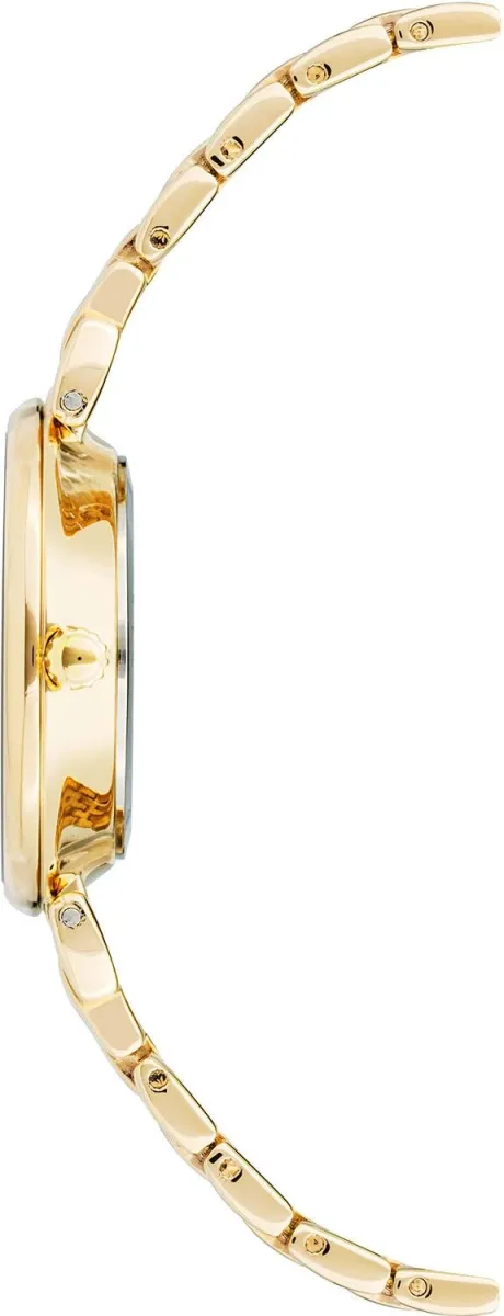 Наручные часы  Anne Klein  Steel Anne Klein 3872CHGB (фото 2)