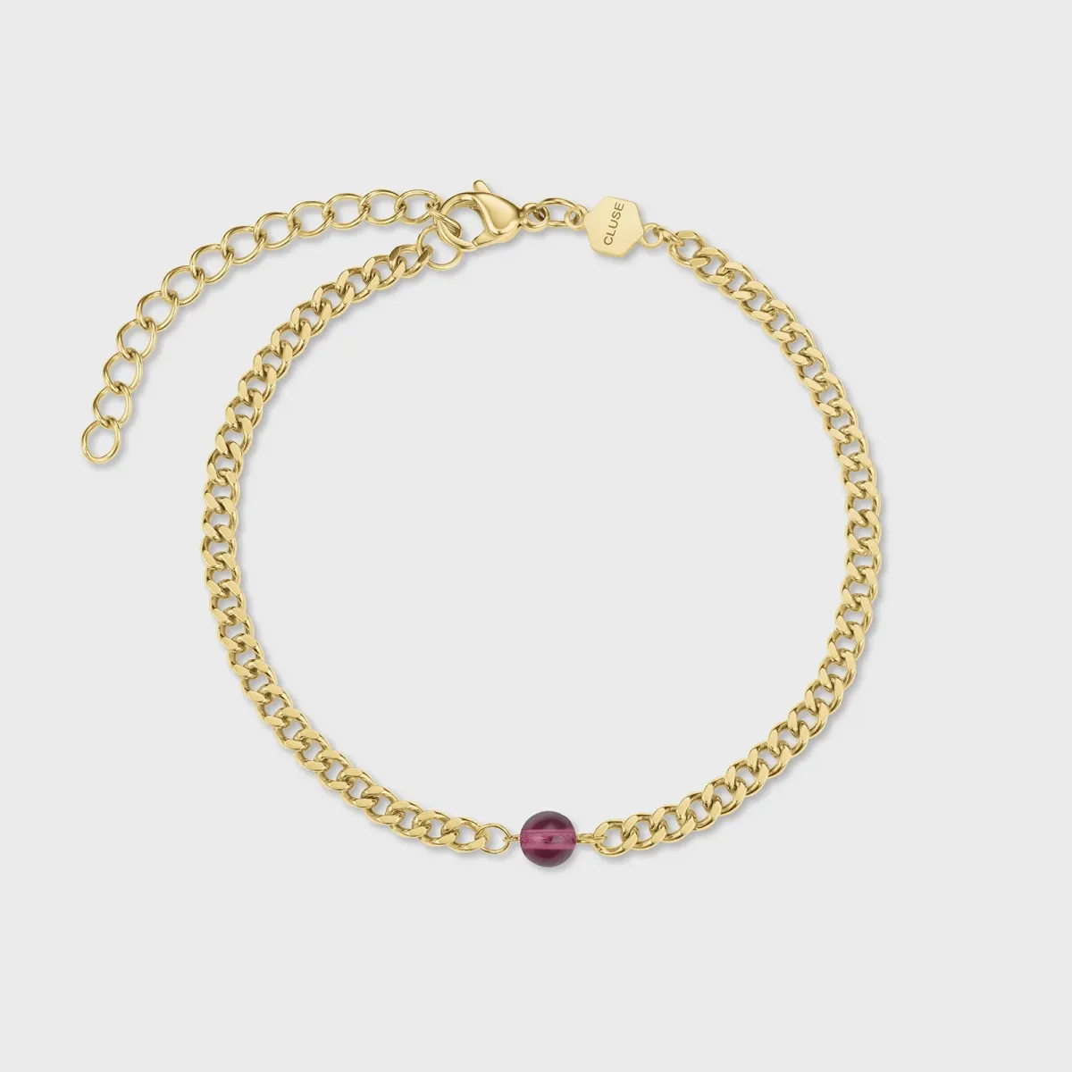 Наручные часы  Cluse  La Tetragone Cluse CG13801 (фото 4)