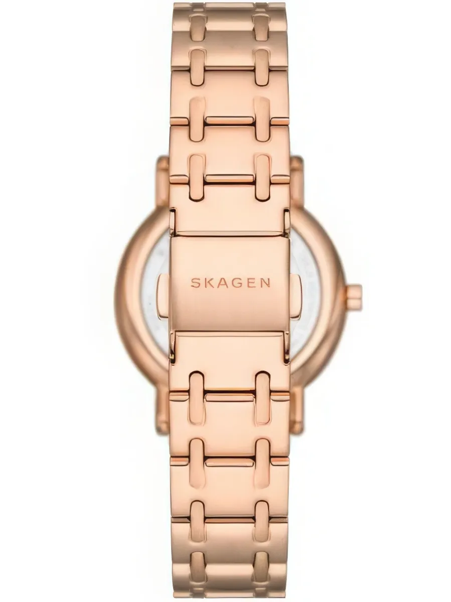 Наручные часы  Skagen  Signatur Skagen SKW3125 (фото 2)