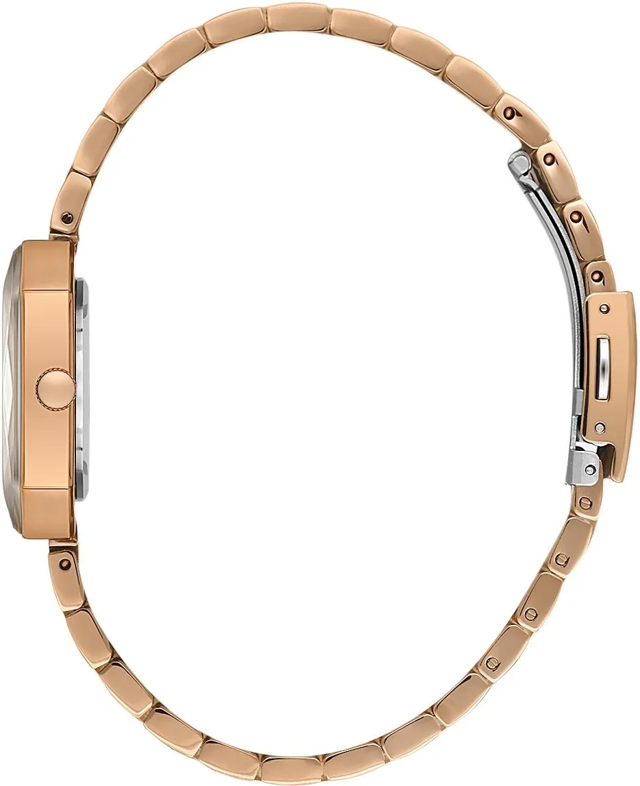 Наручные часы  Daniel Klein  Premium Daniel Klein 14182-6 (фото 2)