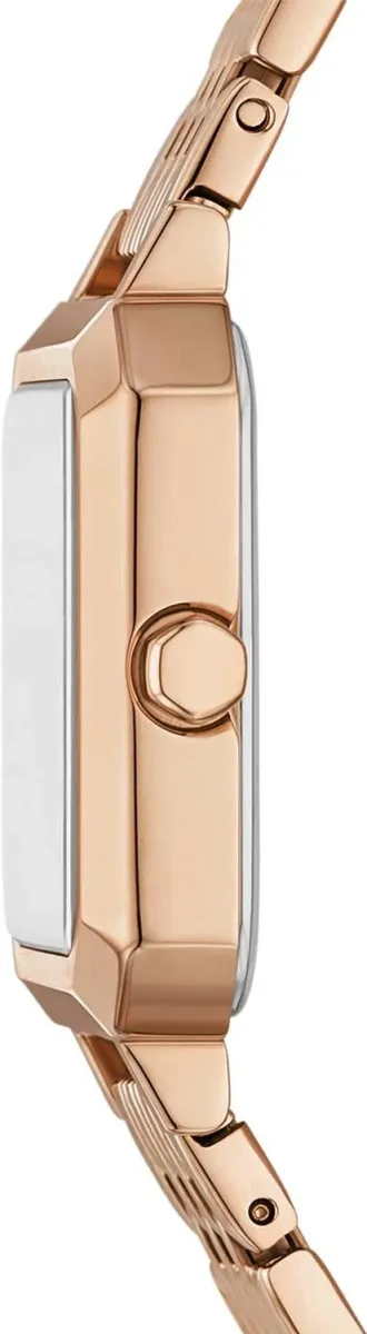 Наручные часы  Armani Exchange  Leila Armani Exchange AX5729 (фото 2)