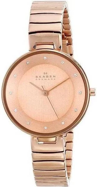 Наручные часы  Skagen  Steel Skagen SKW2227 (фото 1)
