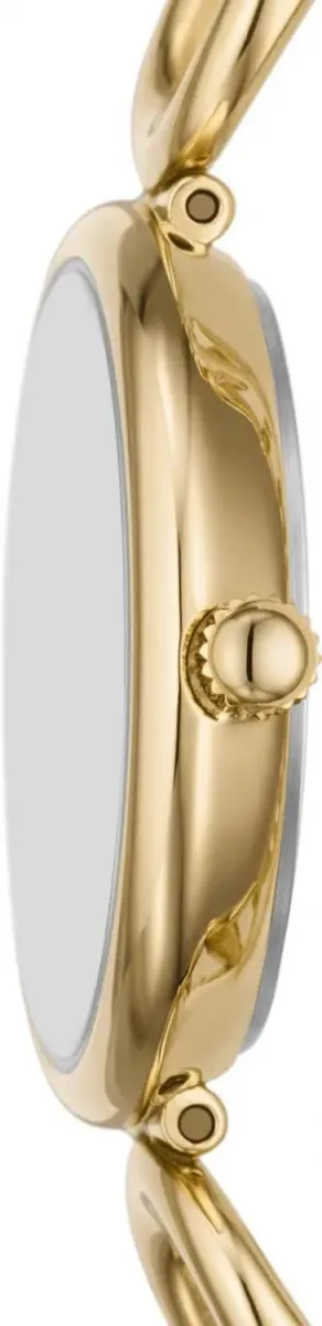 Наручные часы  Fossil  Carlie Fossil ES5375 (фото 3)