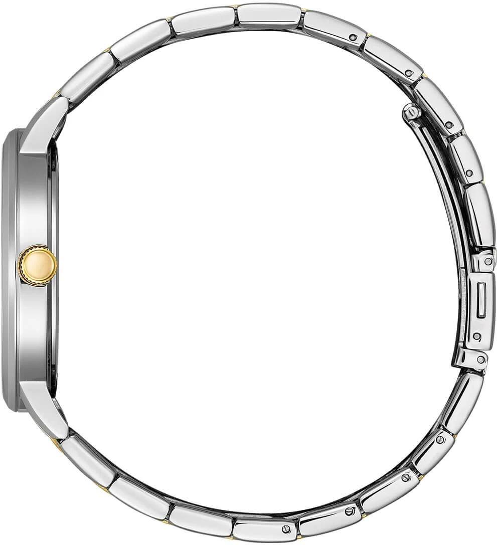 Наручные часы  Citizen  Basic Citizen BI5076-51A (фото 2)