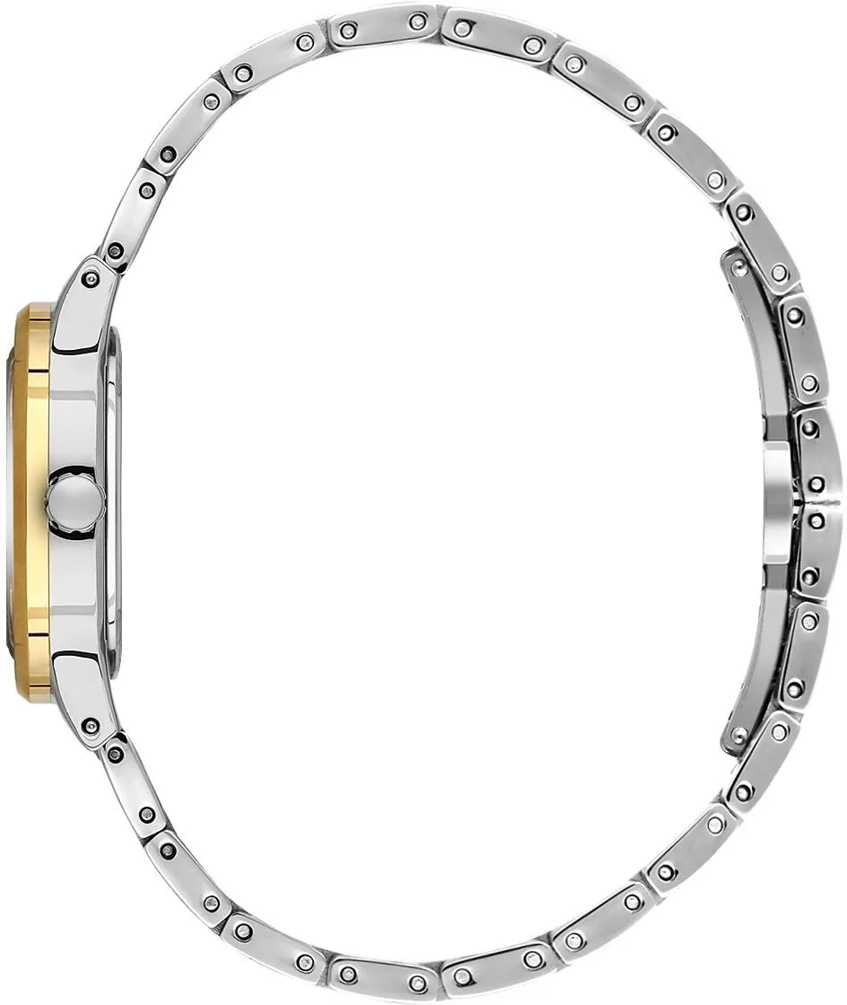 Наручные часы  Daniel Klein  Premium Daniel Klein 13955-4 (фото 2)