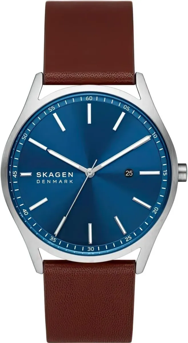 Наручные часы  Skagen  Leather Skagen SKW6846 (фото 1)