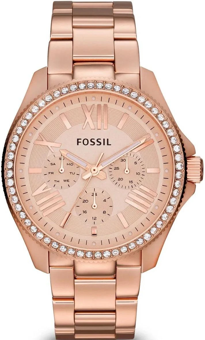 Наручные часы  Fossil  Multifunction Fossil AM4483 (фото 1)