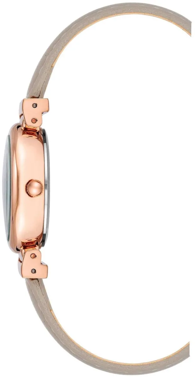 Наручные часы  Anne Klein  Leather Anne Klein 2246RGTP (фото 2)