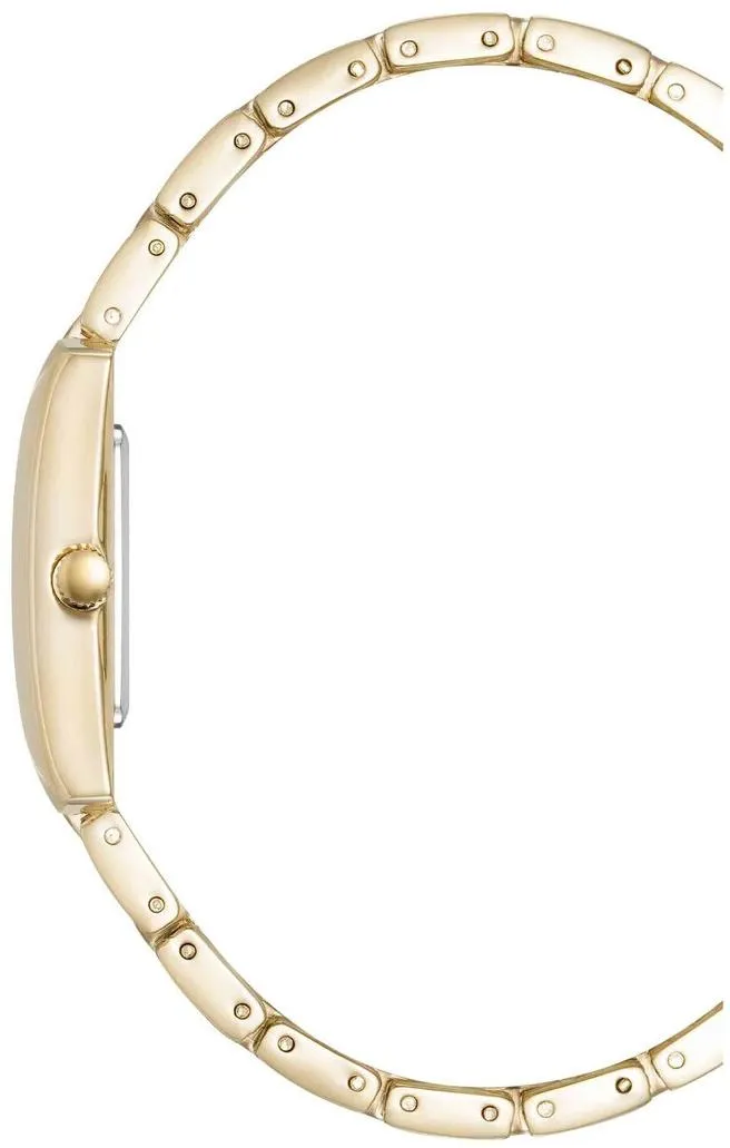Наручные часы  Anne Klein  Metals Anne Klein 5114SVGB (фото 3)