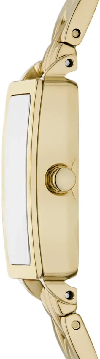 Наручные часы  Skagen  Hagen Skagen SKW3146 (фото 2)