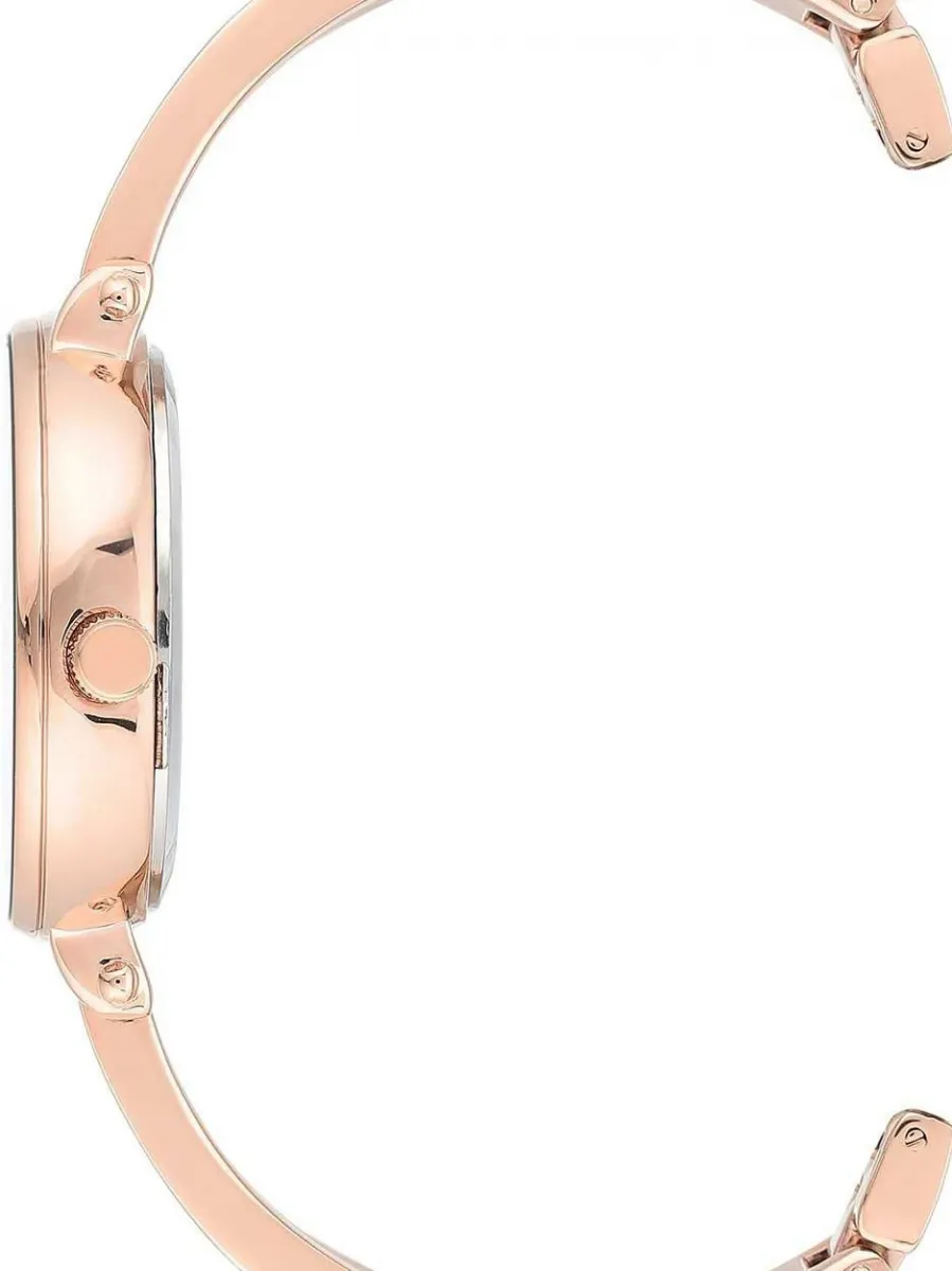 Наручные часы  Anne Klein  Box Set Anne Klein 3620BKST (фото 3)