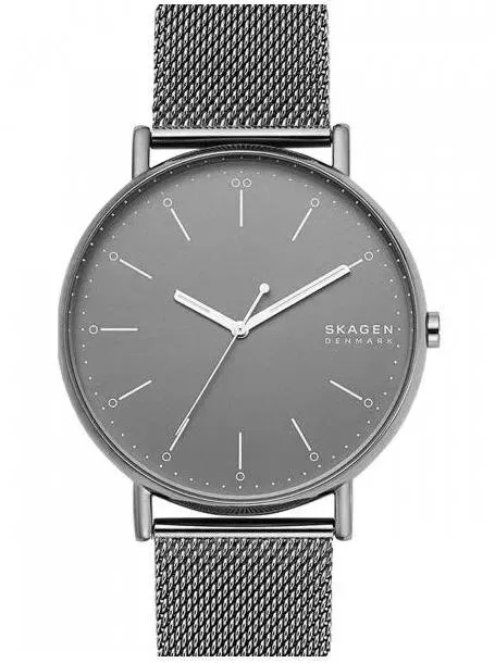 Наручные часы  Skagen  Signatur Skagen SKW6549 (фото 1)