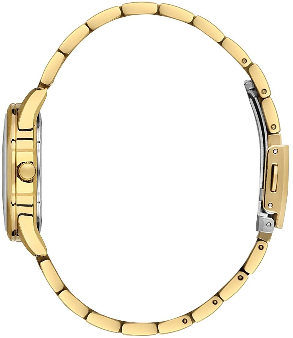 Наручные часы  Daniel Klein  Arcadia Daniel Klein 14049-2 (фото 2)