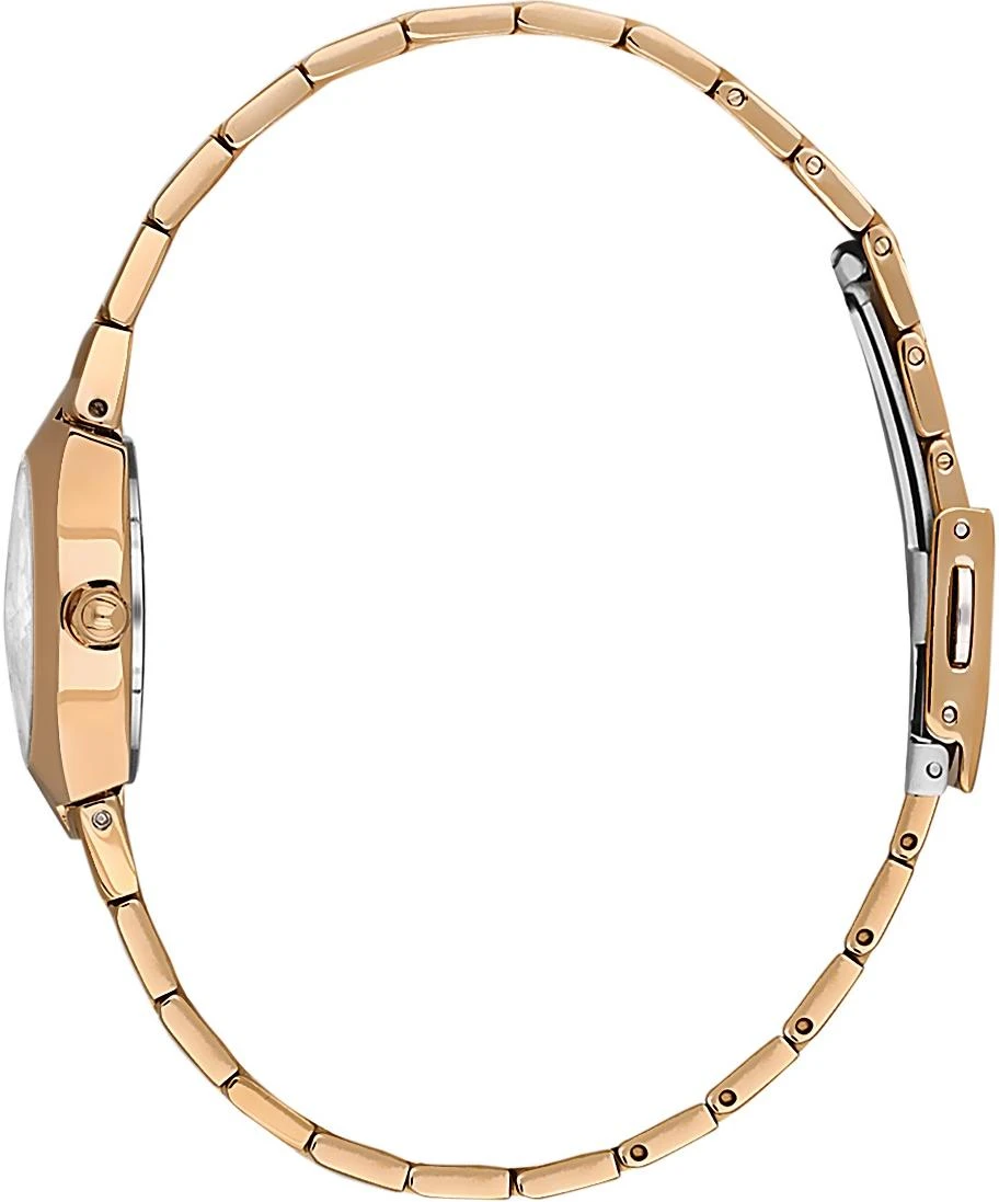 Наручные часы  Daniel Klein  Premium Daniel Klein 14161-5 (фото 2)