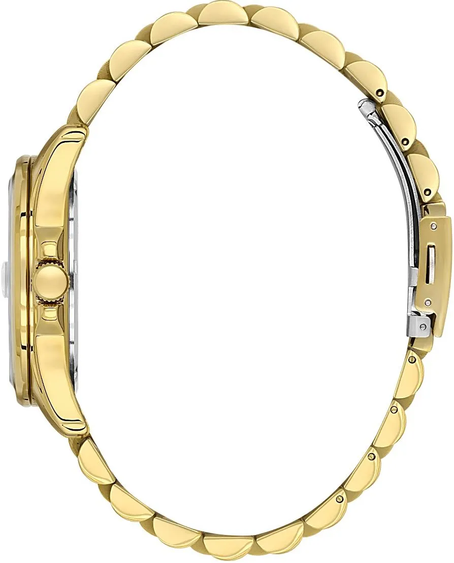 Наручные часы  Daniel Klein  Premium Daniel Klein 14205-4 (фото 2)