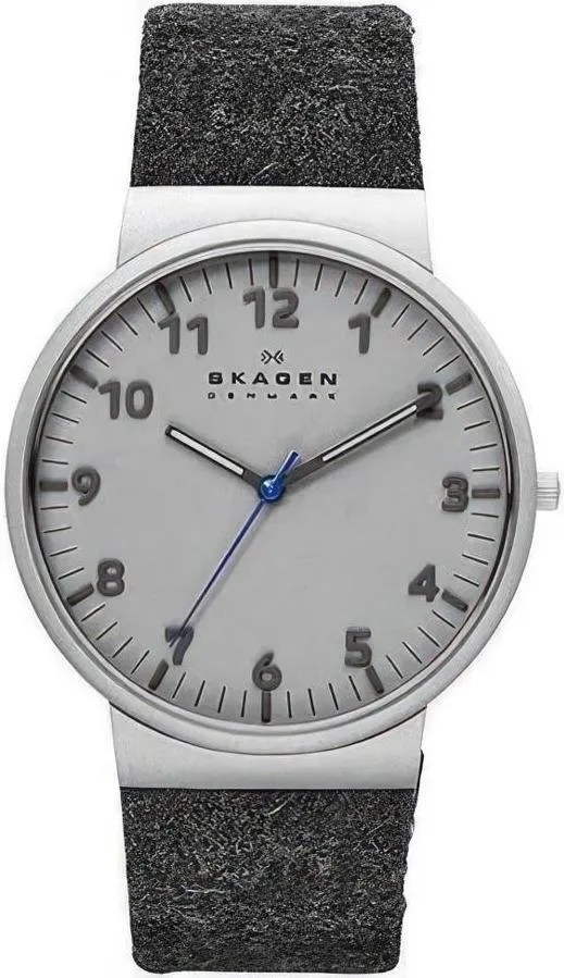 Наручные часы  Skagen  Leather Skagen SKW6097 (фото 1)