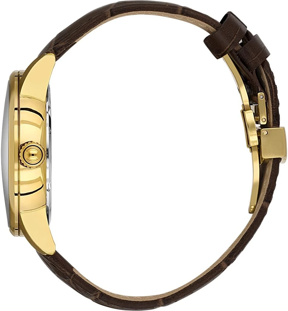 Наручные часы  Daniel Klein  Exclusive Daniel Klein 14285-5 (фото 2)