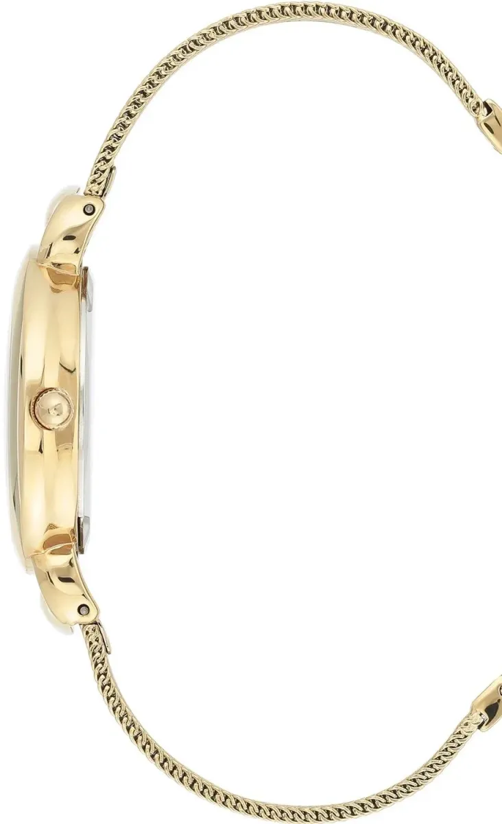 Наручные часы  Anne Klein  Steel Anne Klein 3806SVGB (фото 3)