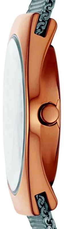 Наручные часы  Skagen  Grenen Skagen SKW3050 (фото 2)