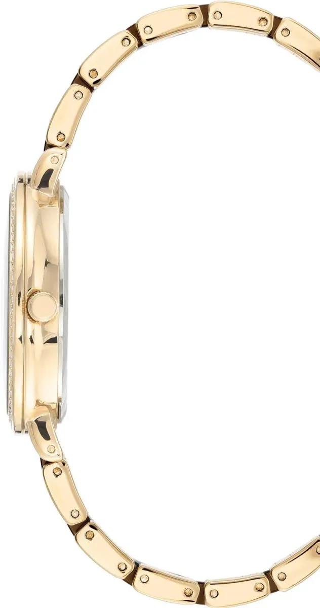 Наручные часы  Anne Klein  Ceramic Anne Klein 3810BNGB (фото 2)