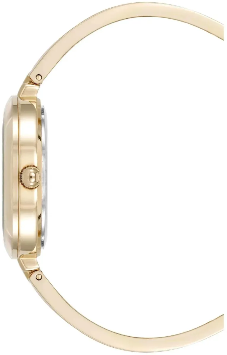 Наручные часы  Anne Klein  Metals Anne Klein 5110INST (фото 3)
