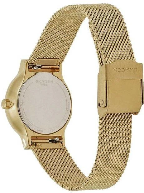 Наручные часы  Skagen  Steel Women Skagen SKW2717 (фото 4)