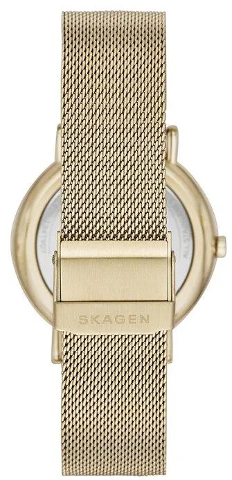 Наручные часы  Skagen  Signatur Skagen SKW2795 (фото 3)