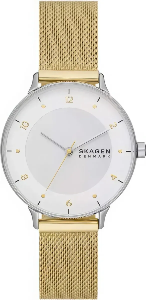 Наручные часы  Skagen  Riis Skagen SKW3092 (фото 1)