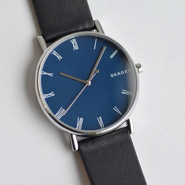 Наручные часы  Skagen  Leather Skagen SKW6434 (фото 2)