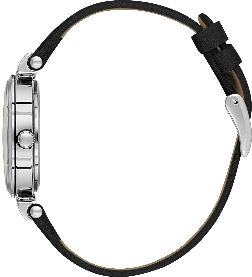 Наручные часы  Daniel Klein  Premium Daniel Klein 13967-1 (фото 2)