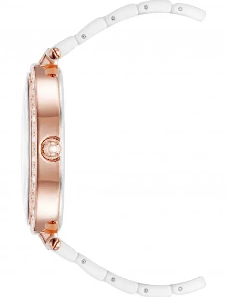 Наручные часы  Anne Klein  Ceramic Anne Klein 3900RGWT (фото 2)