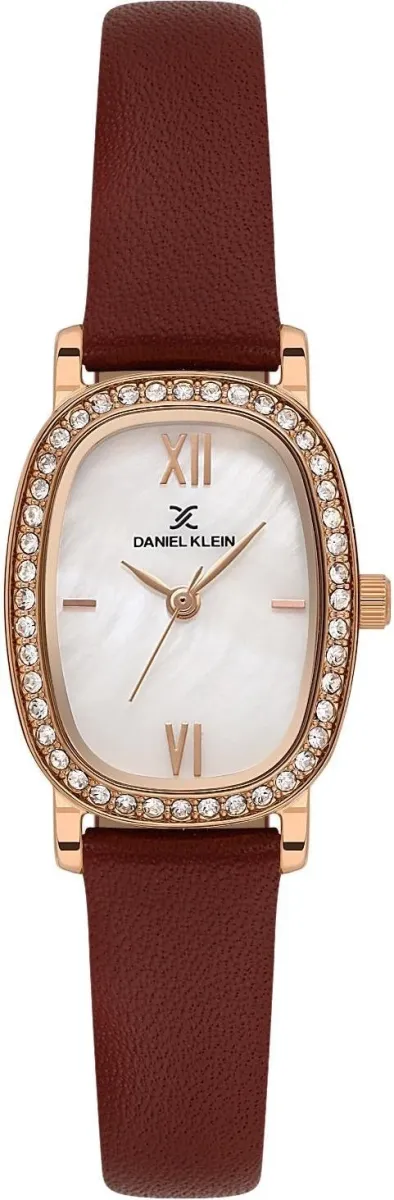 Наручные часы  Daniel Klein  Premium Daniel Klein 13943-6 (фото 1)