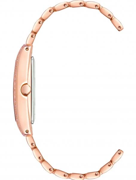 Наручные часы  Anne Klein  Steel Anne Klein 3990RGST (фото 2)