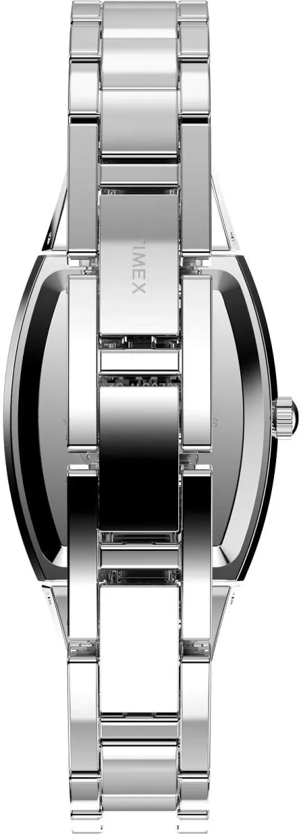 Наручные часы  Timex  Timex Standard Timex TW2W95600 (фото 2)