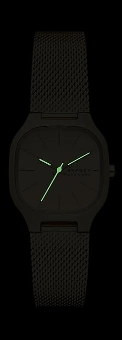 Наручные часы  Skagen  Mellem Skagen SKW3164 (фото 4)