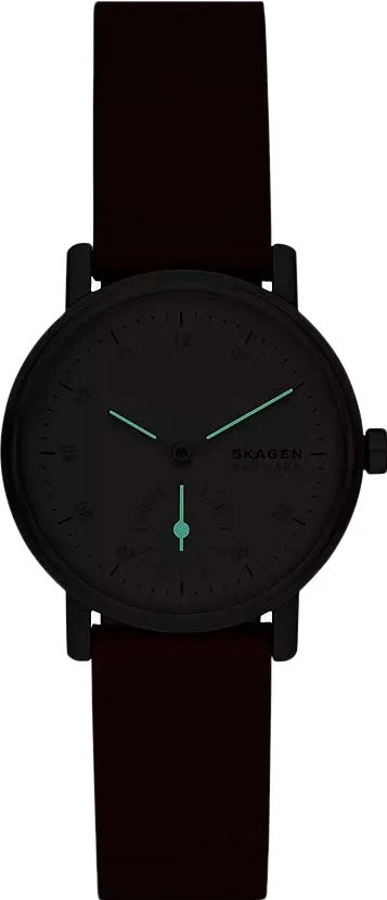 Наручные часы  Skagen  Kuppel Skagen SKW3103 (фото 2)